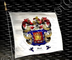 drapeau-SIMAL_Hainaut, Salamanca._Belgique, España (1)