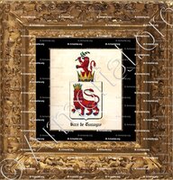 cadre-ancien-or-BARE DE COMOGNE_Namur, Liège._België