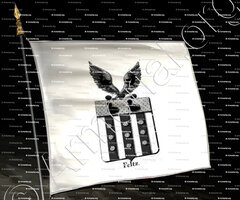 drapeau-FELTZ_Armorial royal des Pays-Bas_Europe