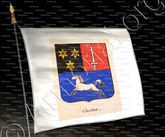 drapeau-CASTEX vicomte de Castex_Armagnac, Alsace._France