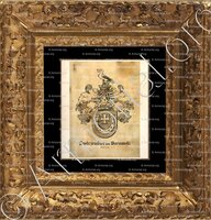 cadre-ancien-or-JASTRZEBIEC von BOROWSKI_Galizien_Kronland ()