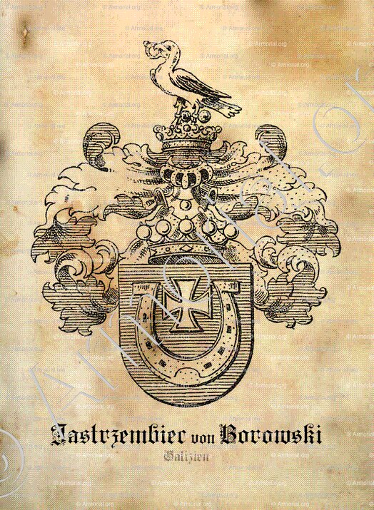 JASTRZEBIEC von BOROWSKI_Galizien_Kronland ()