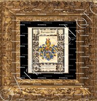 cadre-ancien-or-NASSAUER ADEL_Siebmacher's Wappenbuch_Deutschland