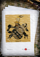 velin-d-Arches-GRIEB_Wappenbuch der Stadt Basel . B.Meyer Knaus 1880_Schweiz