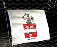 drapeau-BEECKMAN_Vlaams-Brabant_België