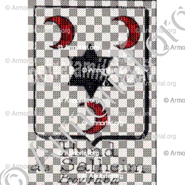 Hund de Salheim__