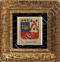 cadre-ancien-or-CAZENEUVE (DE)_Noblesse d'Empire._France