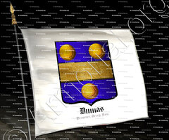drapeau-DUMAS_Provence, Berry, Foix._France