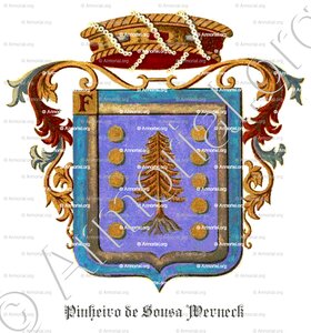 PINHEIRO de SOUSA WERNECK