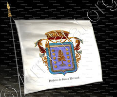 drapeau-PINHEIRO de SOUSA WERNECK_Barão de Ipiabas_Brasil +