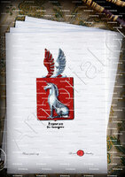 velin-d-Arches-FRANEAU DE GOMEGNIES_Armorial royal des Pays-Bas_Europe