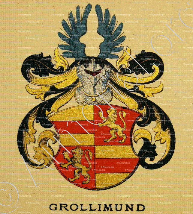 GROLLIMUND_Wappenbuch der Stadt Basel . B.Meyer Knaus 1880_Schweiz