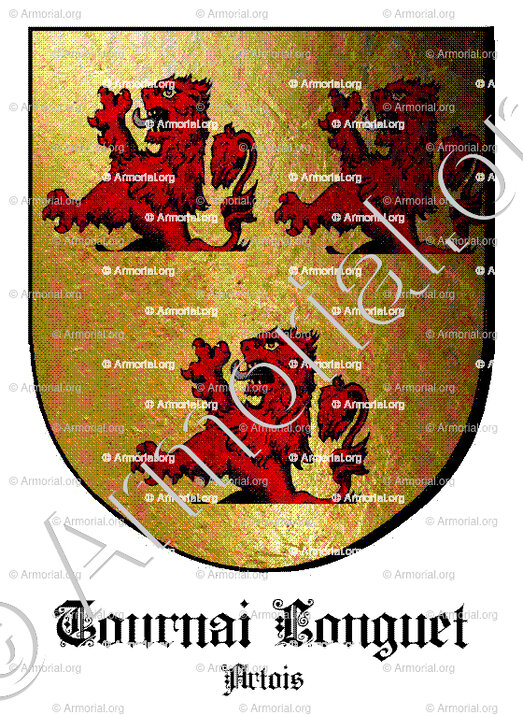 TOURNAI LONGUET_Artois_France (i)