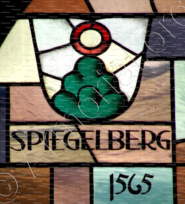 SPIEGELBERG_Aarburg, 1565_Schweiz