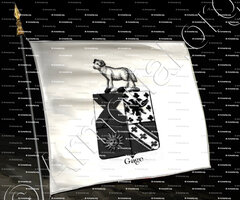 drapeau-GAGE_Armorial royal des Pays-Bas_Europe