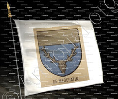 drapeau-de MESCHATIN_Bourbonnais_France