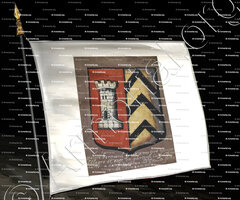 drapeau-LAWIS ou LEWIS ou LOWIS_Auvergne (Maison d'Alègre)_France