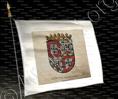 drapeau-LIDO NORONHA_Nobreza  de Portugal_Portugal