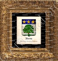cadre-ancien-or-WARNEY, WARNERY, VARNERY, VUARNEY_Vaud_Suisse (1)
