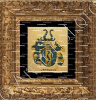 cadre-ancien-or-GRYNAEUS_Wappenbuch der Stadt Basel . B.Meyer Knaus 1880_Schweiz