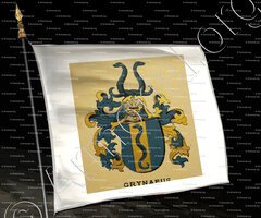 drapeau-GRYNAEUS_Wappenbuch der Stadt Basel . B.Meyer Knaus 1880_Schweiz