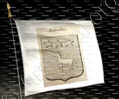 drapeau-ANDRODIAS_Auvergne_France (2)