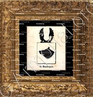 cadre-ancien-or-de BAUDEQUIN_Bruxelles, Artois, Picardie._Belgique, France.