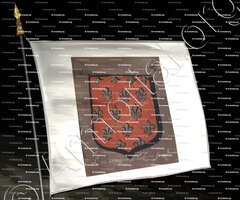drapeau-ALLÈGRE_Auvergne (Maison d'Alègre)_France - Copie