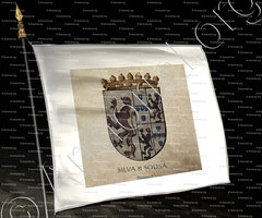 drapeau-SILVA & SOUSA_Nobreza  de Portugal_Portugal