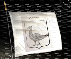 drapeau-D'ALAGNAT_Auvergne_France (i)