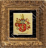 cadre-ancien-or-GULDENMANN_Wappenbuch der Stadt Basel . B.Meyer Knaus 1880_Schweiz