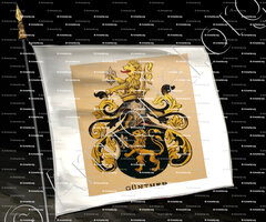 drapeau-GÜNTHER_Wappenbuch der Stadt Basel . B.Meyer Knaus 1880_Schweiz. Suisse. Svizzera. +