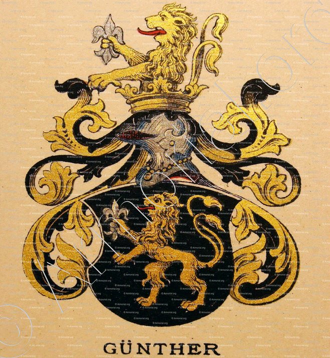 GÜNTHER_Wappenbuch der Stadt Basel . B.Meyer Knaus 1880_Schweiz. Suisse. Svizzera. +