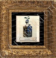 cadre-ancien-or-IJDSMA_Friesland (Stamboek van den Frieschen, 1846)_Nederland