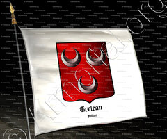 drapeau-TRELEAU_Poitou_France (i)