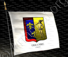drapeau-TRICOIRE_Anjou_France (i)