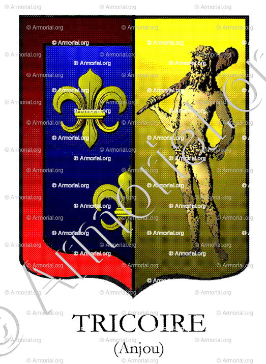 TRICOIRE_Anjou_France (i)