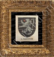 cadre-ancien-or-de MONTESPEDON_Bourbonnais_France