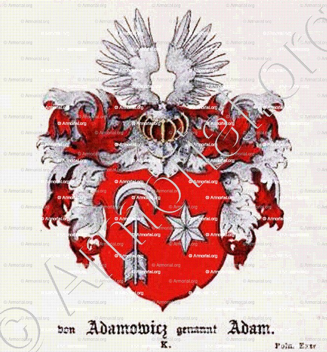 ADAMOWICZ genannt ADAM_Baltische Staaten_Nordosteuropa