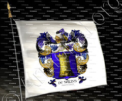 drapeau-de SALINS_Franche-Comté._France .