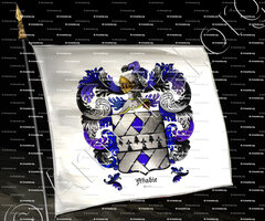 drapeau-ABADIE_Paris_France ()
