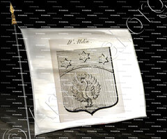 drapeau-d'ALDIN_Auvergne_France (ii)