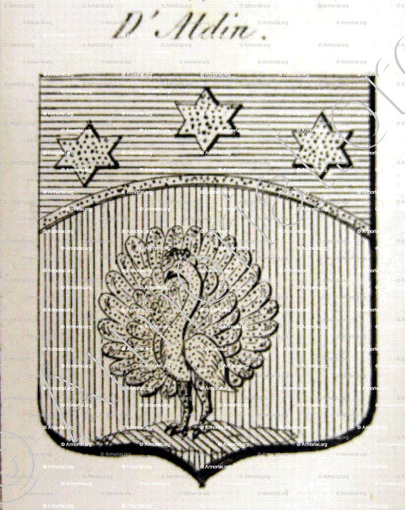 d'ALDIN_Auvergne_France (ii)