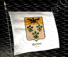 drapeau-CARDONA_Aragón_España (2)
