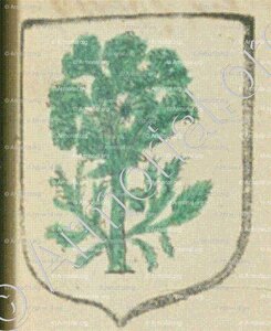 De NOUSIERES de FENOUX (La Rochelle)