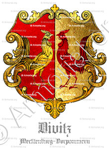 DIVITZ