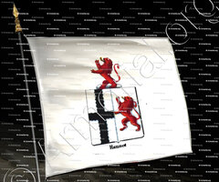 drapeau-HANNOT_Armorial royal des Pays-Bas_Europe