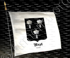 drapeau-MAZET_Genève_Suisse (2)