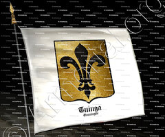 drapeau-TUINGA_Groningue_Nederland (i)
