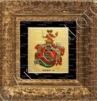 cadre-ancien-or-HAAG_Wappenbuch der Stadt Basel . B.Meyer Knaus 1880_Schweiz